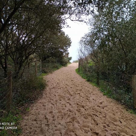 Logement 88 2-4 Personnes 500 M Plage Classe 2 Etoiles Dolus d'Oléron Екстериор снимка